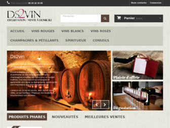 ds2vin.fr website preview