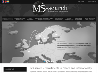 ms-search.fr website preview