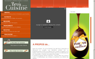 dubruitdanslacuisine.fr website preview