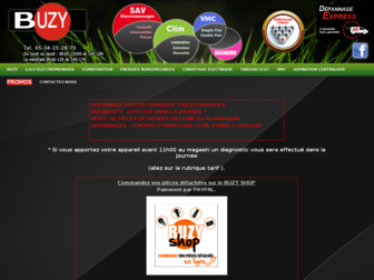 buzy31.fr website preview