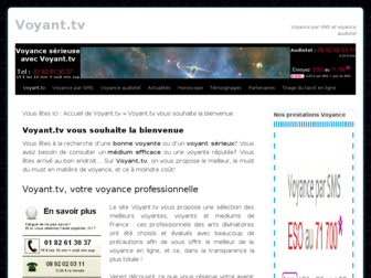 voyant.tv website preview