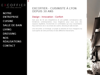 lyon-cuisiniste.com website preview