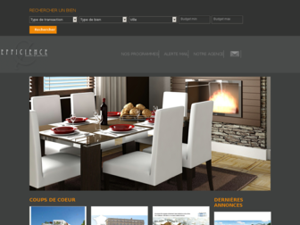 efficience-groupe-immobilier.com website preview