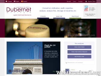dubernet.com website preview