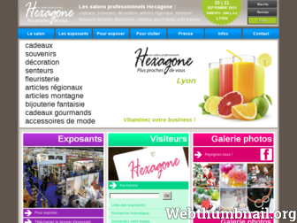 lyon.hexagone.fr website preview