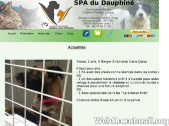 spa-du-dauphine.fr website preview