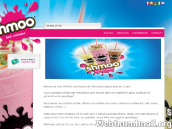 shmoo.fr website preview