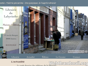 librairiedulabyrinthe.fr website preview