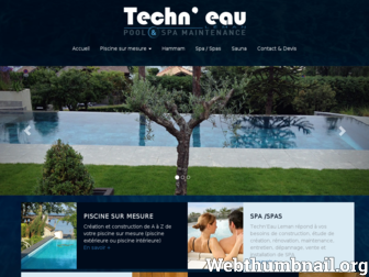 techneau-leman.com website preview