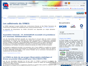 syneg.org website preview