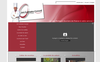 art-culinaire-conseil.com website preview