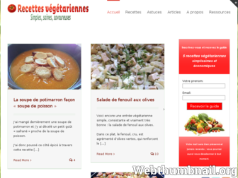 recettes-vegetariennes.org website preview