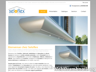 seloflex.fr website preview