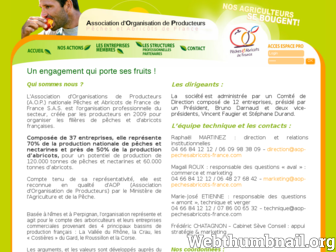 aop-pechesnectarines-france.com website preview