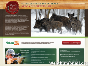 royal-chasse-direct.com website preview