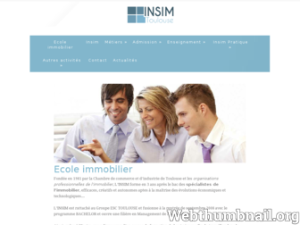 insim-toulouse.fr website preview