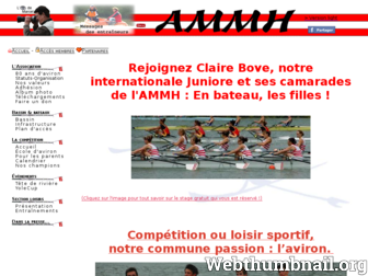 ammh.fr website preview