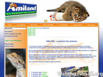amiland.com website preview