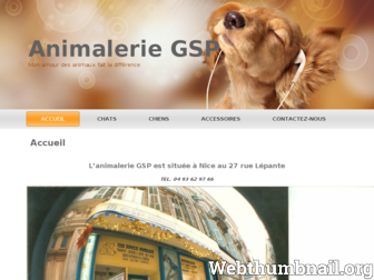 animaleriegsp.fr website preview