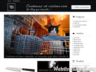 couteaux-et-cuisine.com website preview