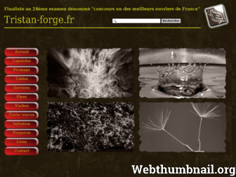 tristan-forge.fr website preview