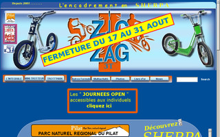 zigzag3t.com website preview