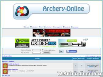 archeryonline.net website preview