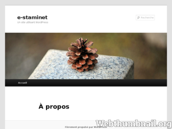 e-staminet.fr website preview
