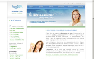 ecommerce-pro.com website preview