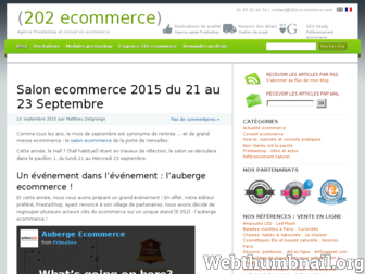 202-ecommerce.com website preview
