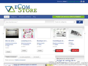 ecom-store.fr website preview