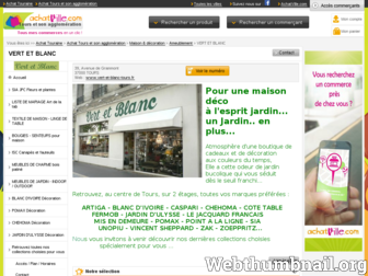 vert-et-blanc-tours.fr website preview