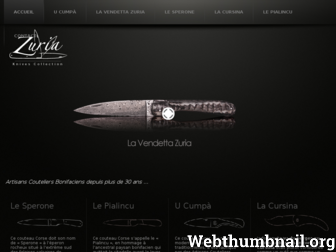 zuria.fr website preview