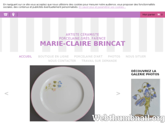 fleurs-porcelaine-limoges.fr website preview
