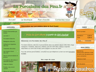 porcelainedespins.fr website preview