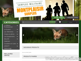 montplaisirsurplus.com website preview