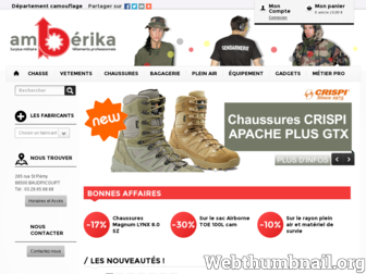 am-erika.fr website preview