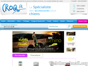 croq.fr website preview