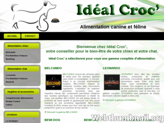 idealcroc.fr website preview