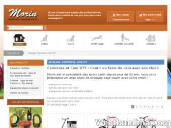 canicross-vtt-chien.com website preview
