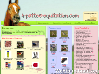 4pattes-equitation.com website preview