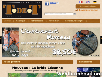 tdet.fr website preview