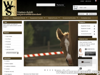 westernspirit.fr website preview