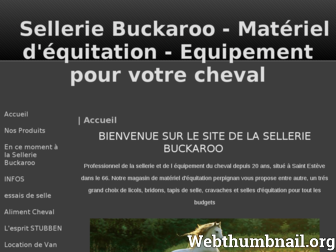 buckaroo.onlc.fr website preview
