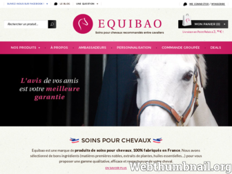 equibao.com website preview