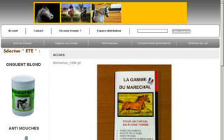 gamme-du-marechal.com website preview