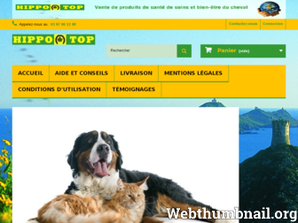 hippo-top.com website preview