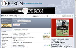 annonces.leperon.fr website preview
