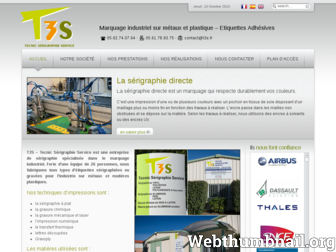 t3s.fr website preview