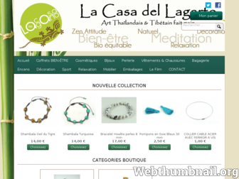 lacasalagarto.fr website preview